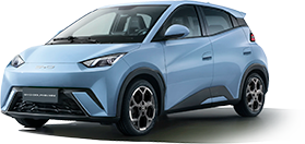 BYD DOLPHIN MINI EV